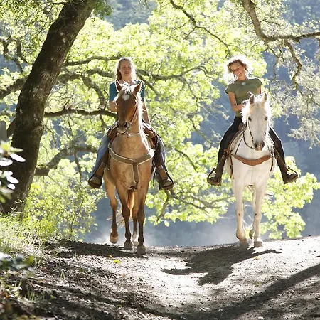 Prázdninový areál Center Parcs Heijderbos Limburg-weeze 3*