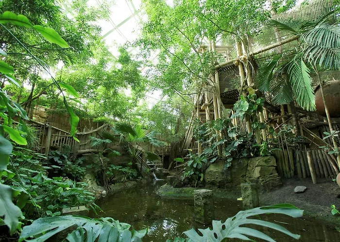 Center Parcs Heijderbos Limburg-weeze Vakantiepark Heijen