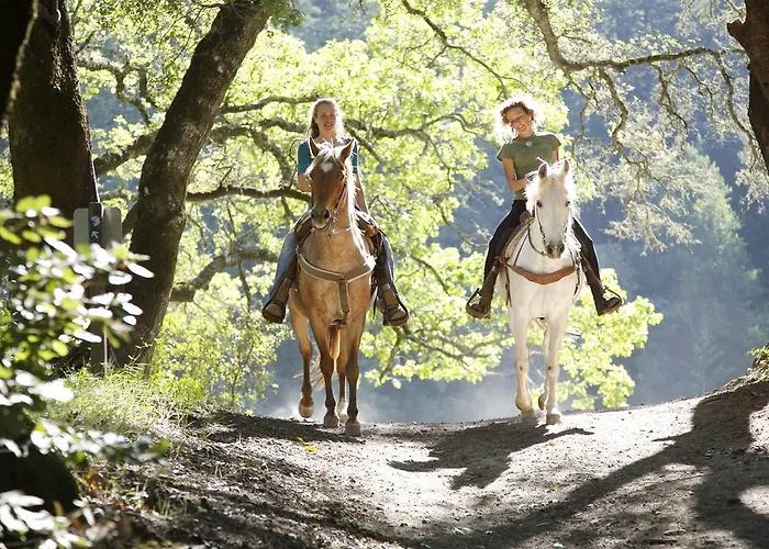 Village de vacances Center Parcs Heijderbos Limburg-weeze 3*