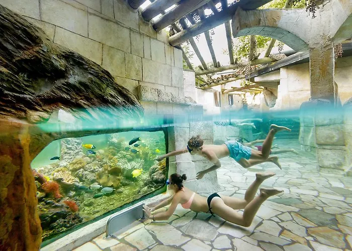 Center Parcs Heijderbos Limburg-weeze Village de vacances 3*