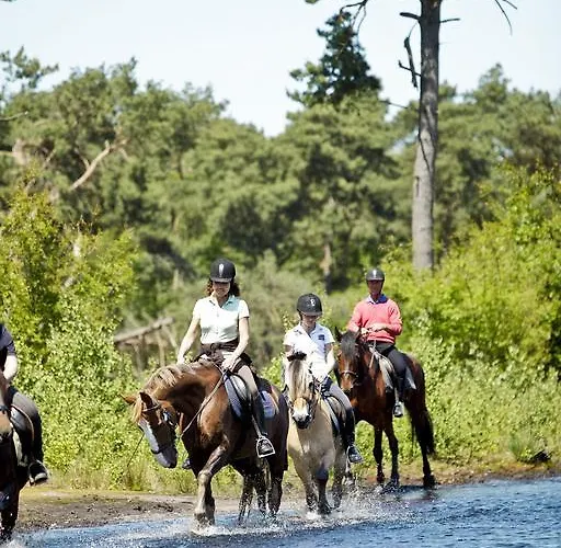 Center Parcs Heijderbos Limburg-weeze Heijen